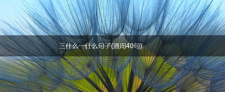 三什么一什么句子(通用40句),第1张