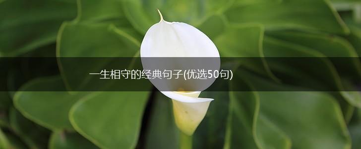 一生相守的经典句子(优选50句),第1张