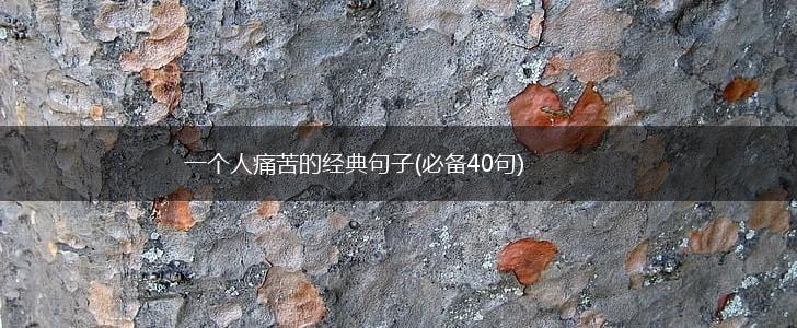一个人痛苦的经典句子(必备40句),第1张