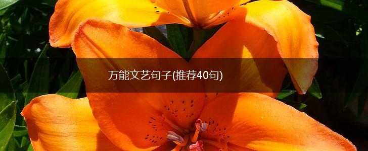 万能文艺句子(推荐40句),第1张
