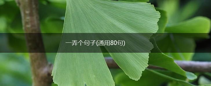 一弄个句子(通用80句),第1张