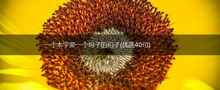 一个木字旁一个句子的句子(优选40句),第1张