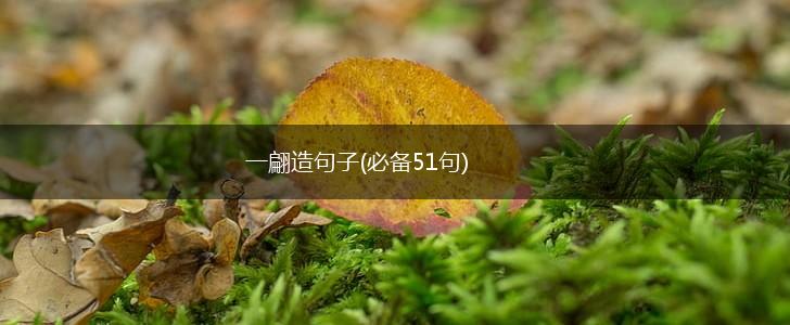 一翩造句子(必备51句),第1张