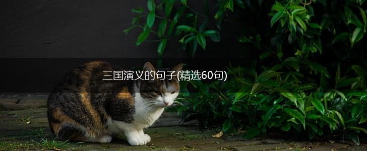 三国演义的句子(精选60句),第1张