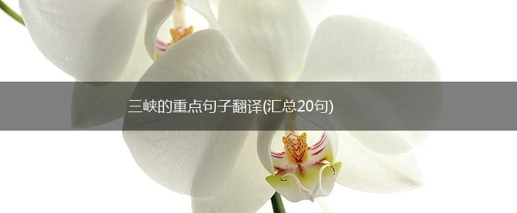 三峡的重点句子翻译(汇总20句),第1张