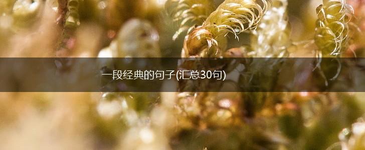 一段经典的句子(汇总30句),第1张