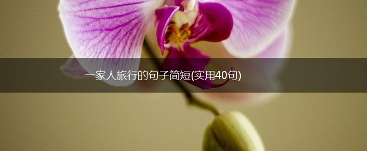 一家人旅行的句子简短(实用40句),第1张