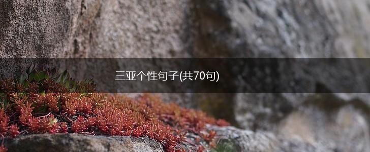三亚个性句子(共70句),第1张