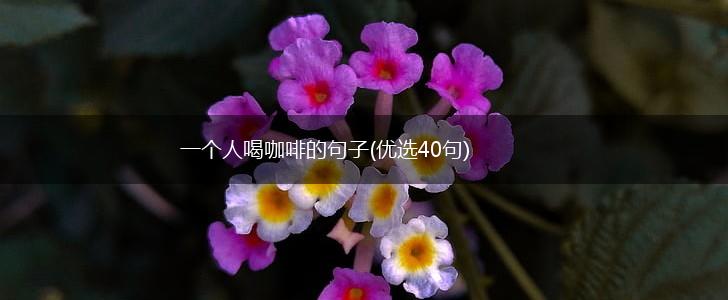 一个人喝咖啡的句子(优选40句),第1张