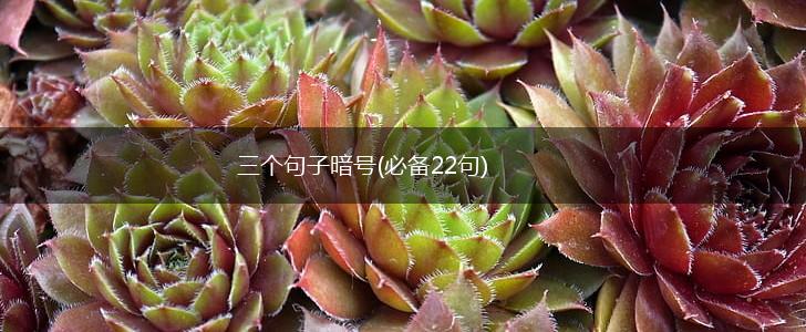 三个句子暗号(必备22句),第1张