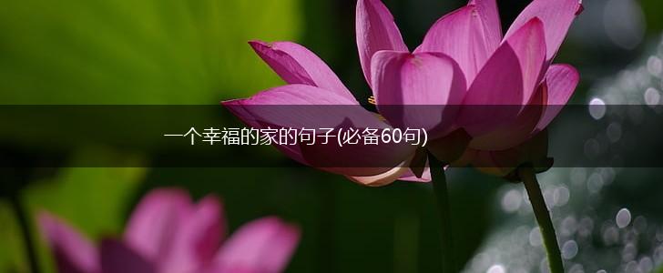 一个幸福的家的句子(必备60句),第1张