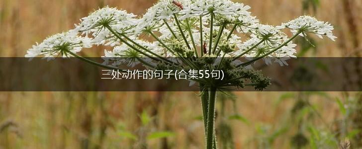 三处动作的句子(合集55句),第1张