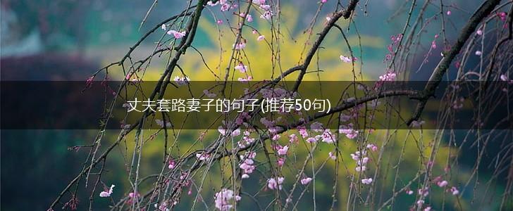 丈夫套路妻子的句子(推荐50句),第1张