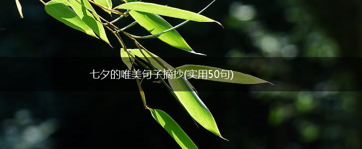 七夕的唯美句子摘抄(实用50句),第1张