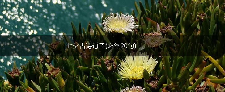 七夕古诗句子(必备20句),第1张
