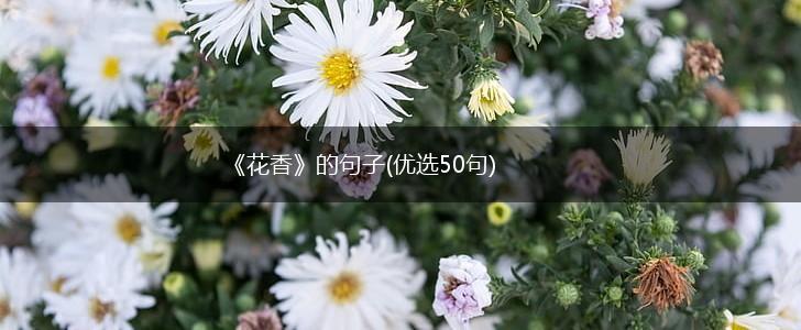 《花香》的句子(优选50句),第1张