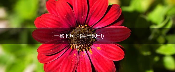 一餐的句子(实用60句),第1张