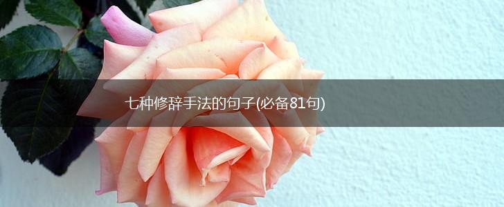 七种修辞手法的句子(必备81句),第1张