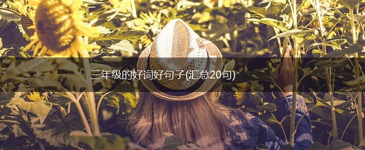 三年级的好词好句子(汇总20句),第1张