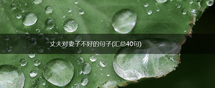 丈夫对妻子不好的句子(汇总40句),第1张