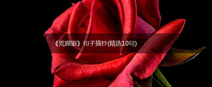 《荒原狼》句子摘抄(精选10句),第1张