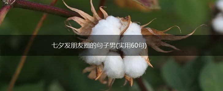 七夕发朋友圈的句子男(实用60句),第1张