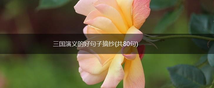 三国演义的好句子摘抄(共80句),第1张