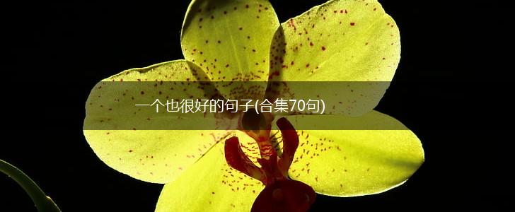 一个也很好的句子(合集70句),第1张
