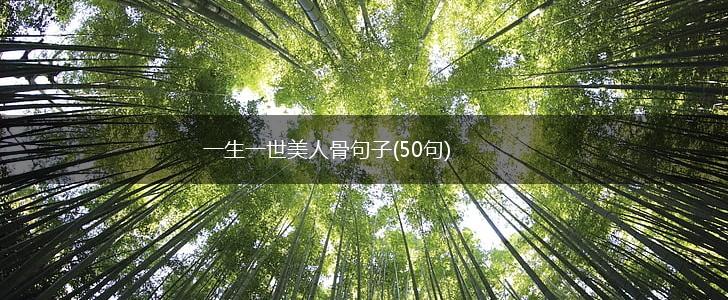 一生一世美人骨句子(50句),第1张