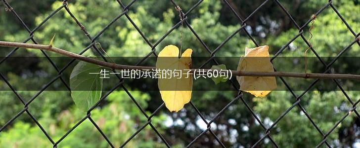 一生一世的承诺的句子(共60句),第1张