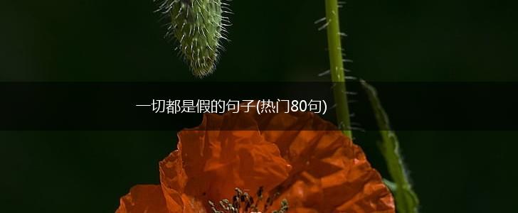 一切都是假的句子(热门80句),第1张