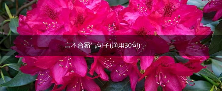 一言不合霸气句子(通用30句),第1张