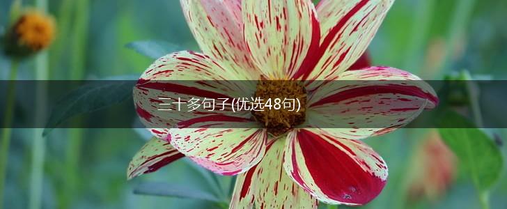 三十多句子(优选48句),第1张