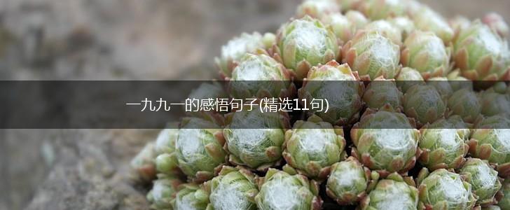 一九九一的感悟句子(精选11句),第1张