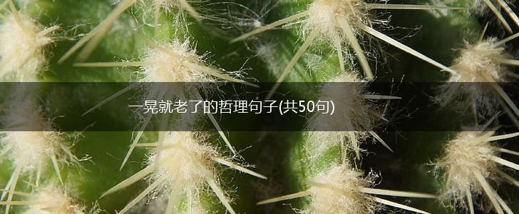 一晃就老了的哲理句子(共50句),第1张