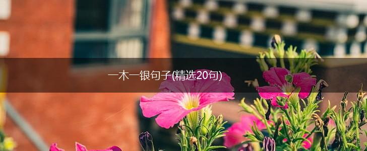 一木一银句子(精选20句),第1张