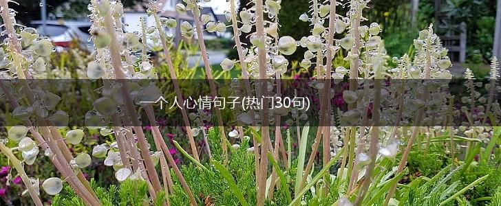 一个人心情句子(热门30句),第1张