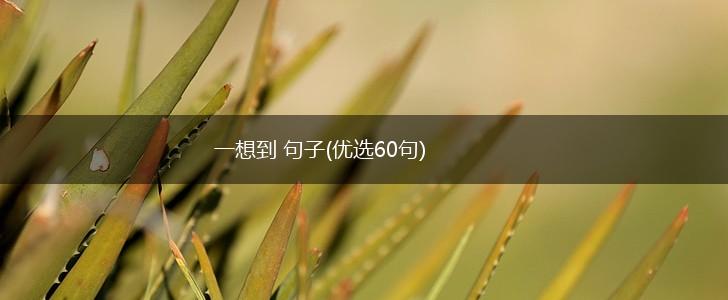 一想到 句子(优选60句),第1张