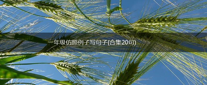 一年级仿照例子写句子(合集20句),第1张