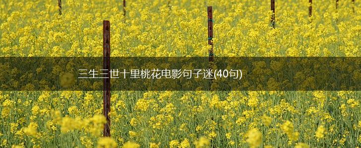 三生三世十里桃花电影句子迷(40句),第1张
