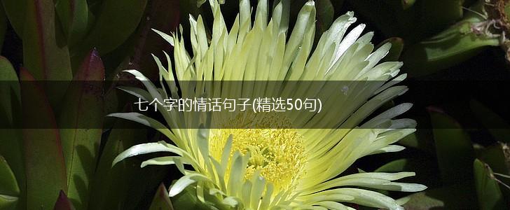 七个字的情话句子(精选50句),第1张