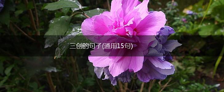 三创的句子(通用15句),第1张