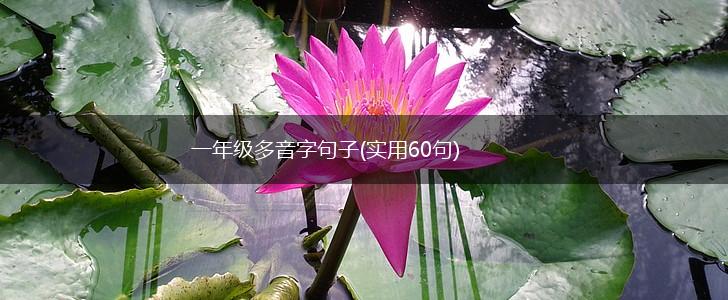一年级多音字句子(实用60句),第1张