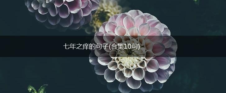 七年之痒的句子(合集10句),第1张