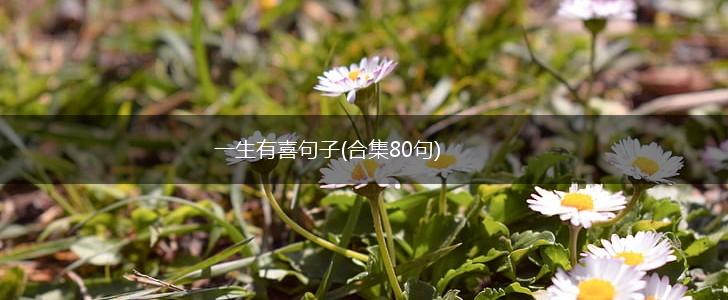 一生有喜句子(合集80句),第1张