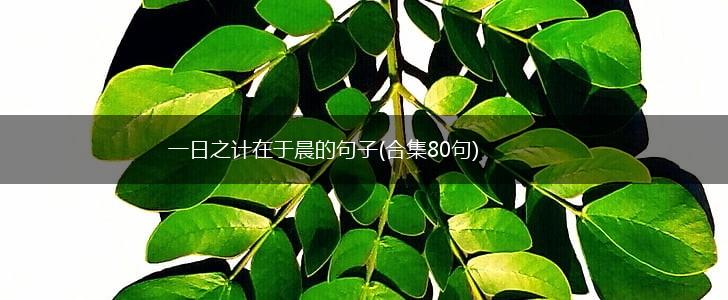 一日之计在于晨的句子(合集80句),第1张