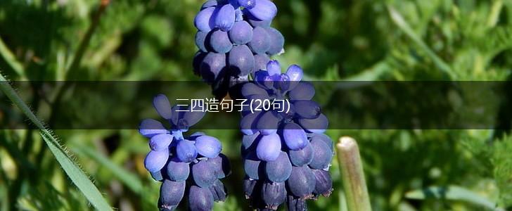 三四造句子(20句),第1张