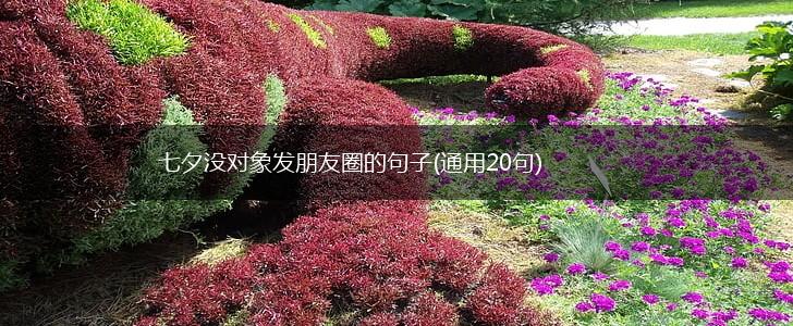 七夕没对象发朋友圈的句子(通用20句),第1张