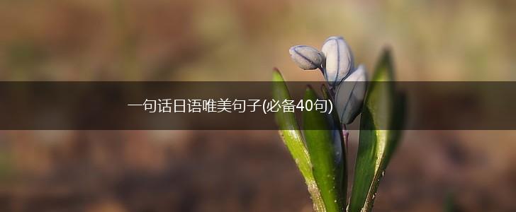 一句话日语唯美句子(必备40句),第1张