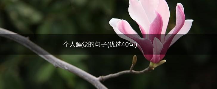 一个人睡觉的句子(优选40句),第1张